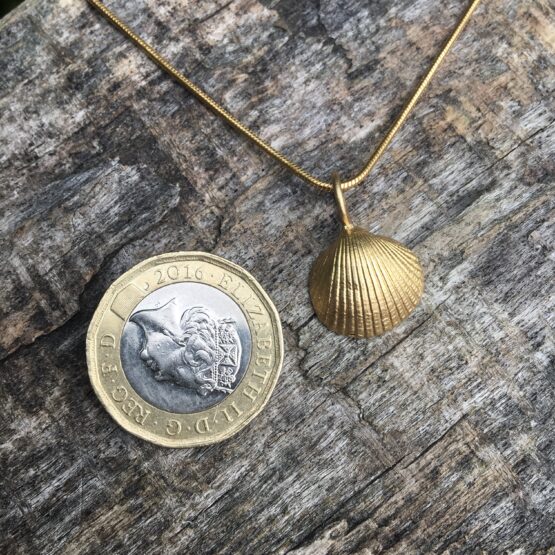 Chilli Designs gold plated cockle shell