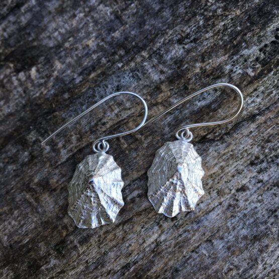 Chilli Designs limpet shell drop earrings