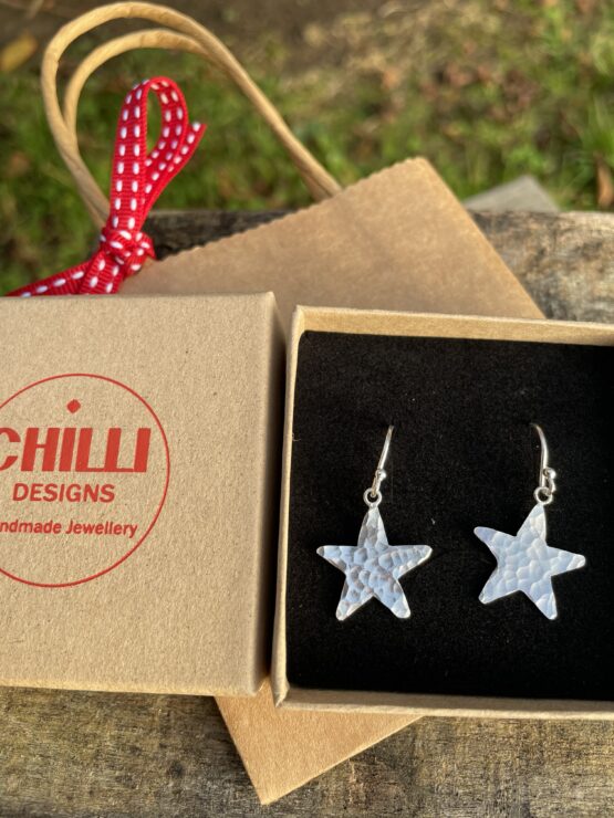 Chilli Designs hammered star on hook